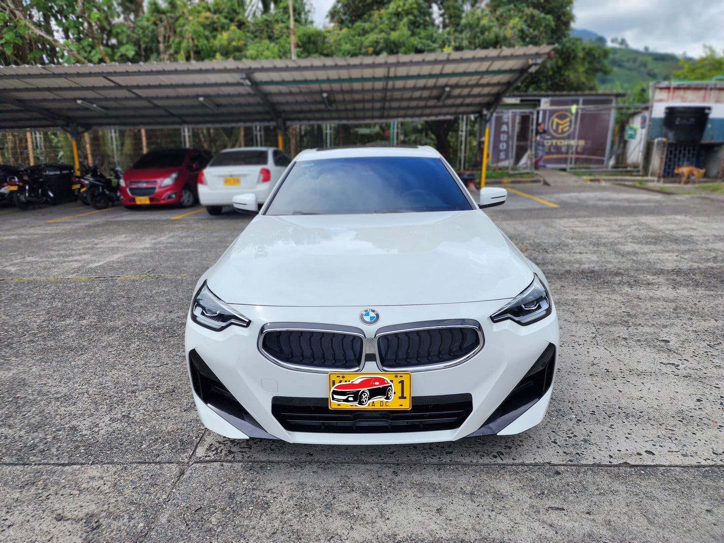 BMW 220i F22 COUPE SPORTLINE